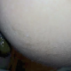 Unfortunately, the camera angle was off in this shot, but enough is seen and heard from above as <a href="http://www.nolimitsclips.com/vanessascorner/index.php?page=1">Vanessa</font></a></font> takes her morning dump and wipes herself.